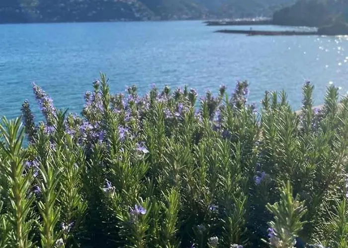 L'eden - Spacieux 3p Bord De - Juans Les Pins Διαμέρισμα *